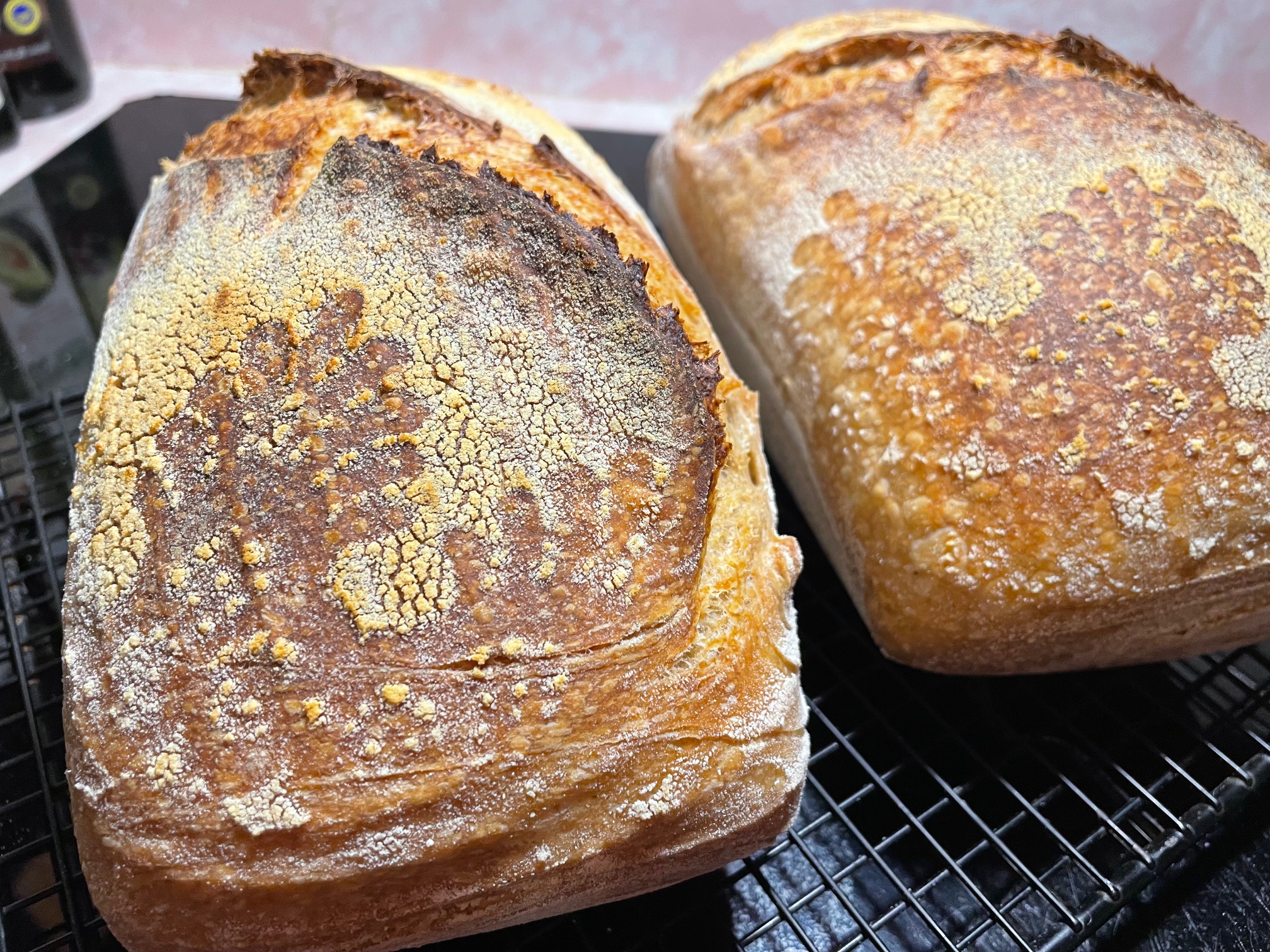 Fortissimo Baking Sourdough with a Flour design and Beautiful Ear!