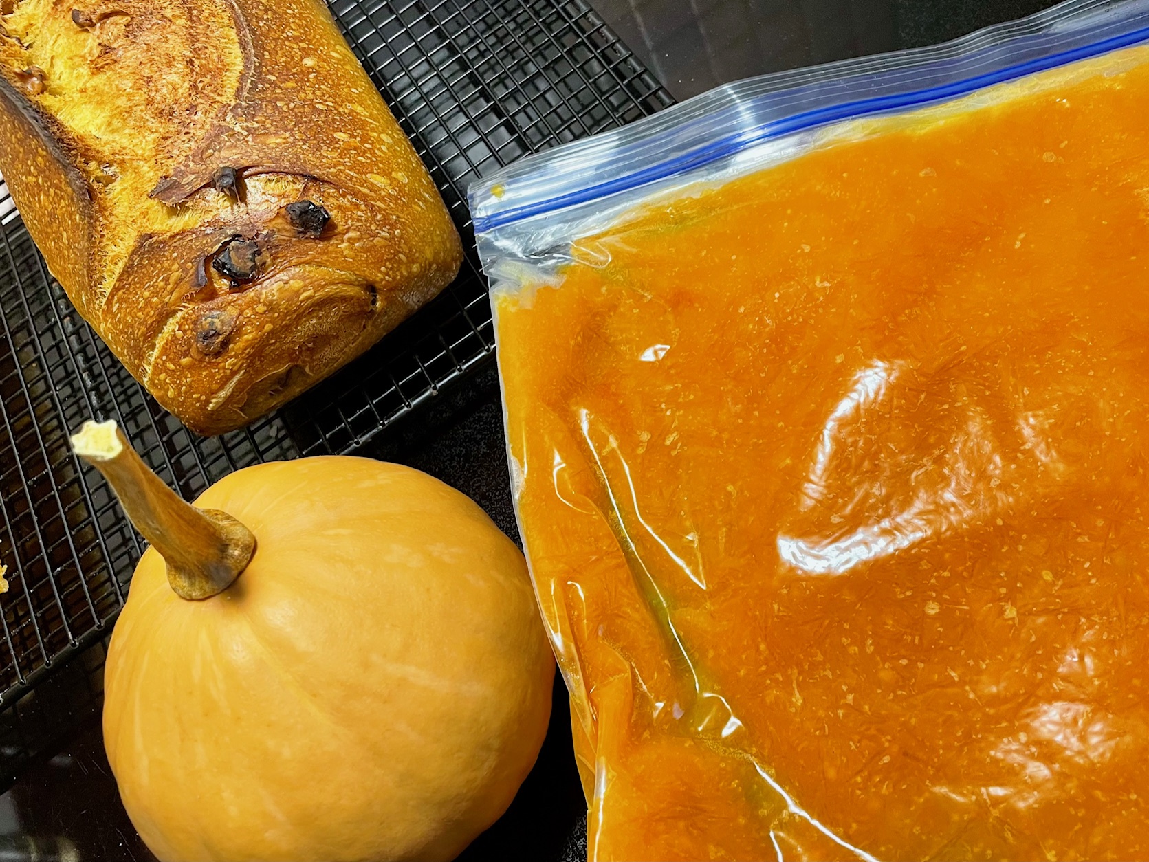 Fortissimo Baking Sourdough Seminole Pumpkin Bread