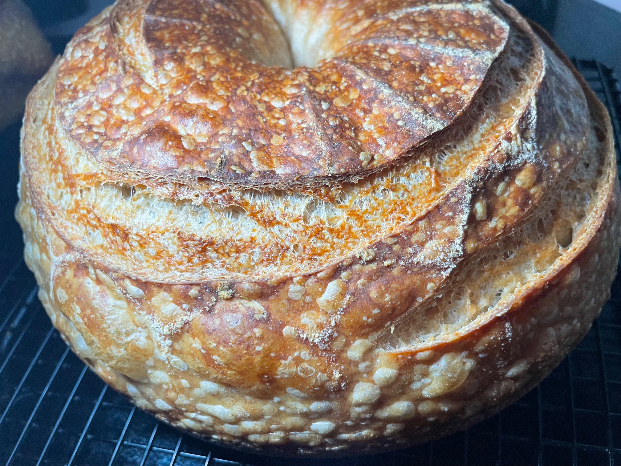 Fortissimo Baking Sourdough with Beautiful Blistering