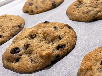 chocolate-chip-walnut-sourdough-cookies
